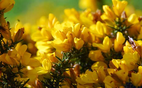 Room Rates and Tariffs